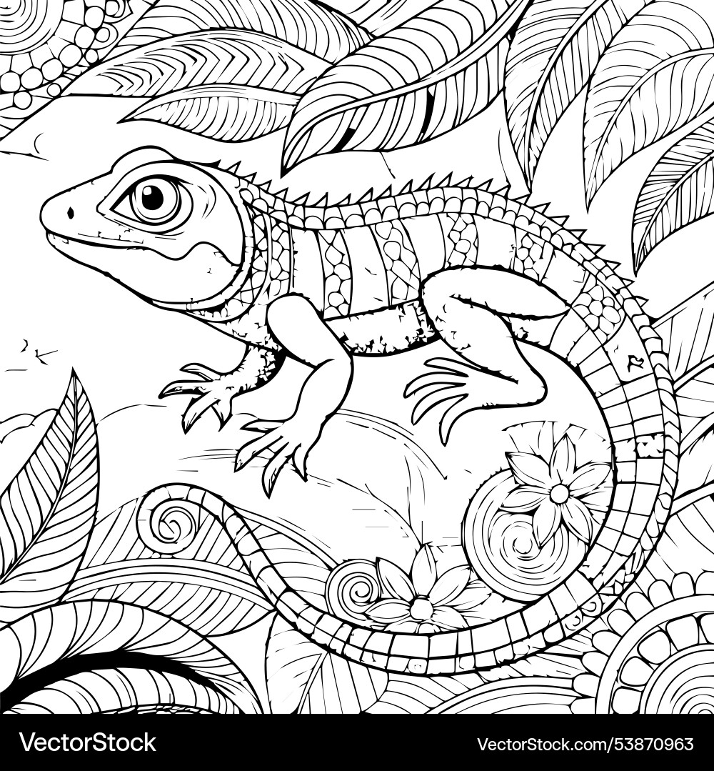 lizard coloring pages