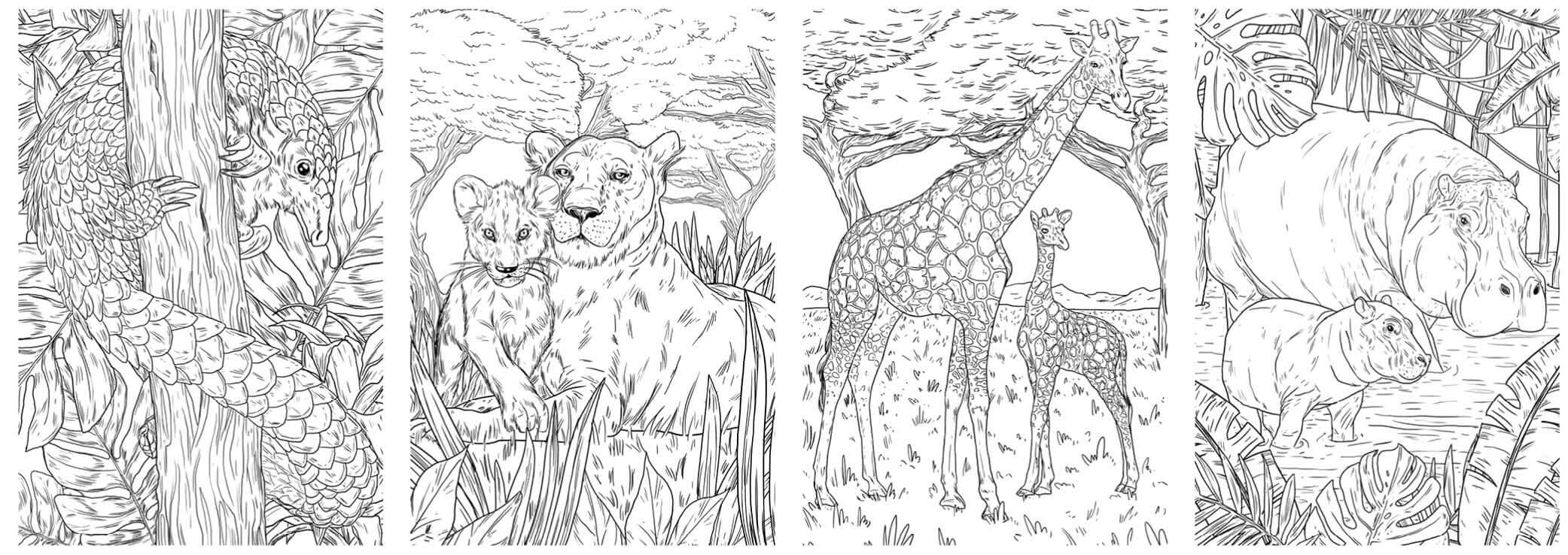 New Issue Colouring Heaven Collection Wildlife Colouring Heaven