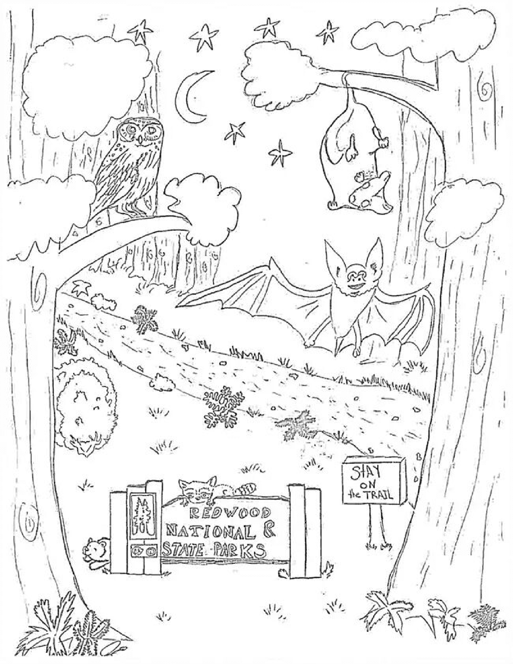 Nocturnal Animals Coloring Page Free Printable
