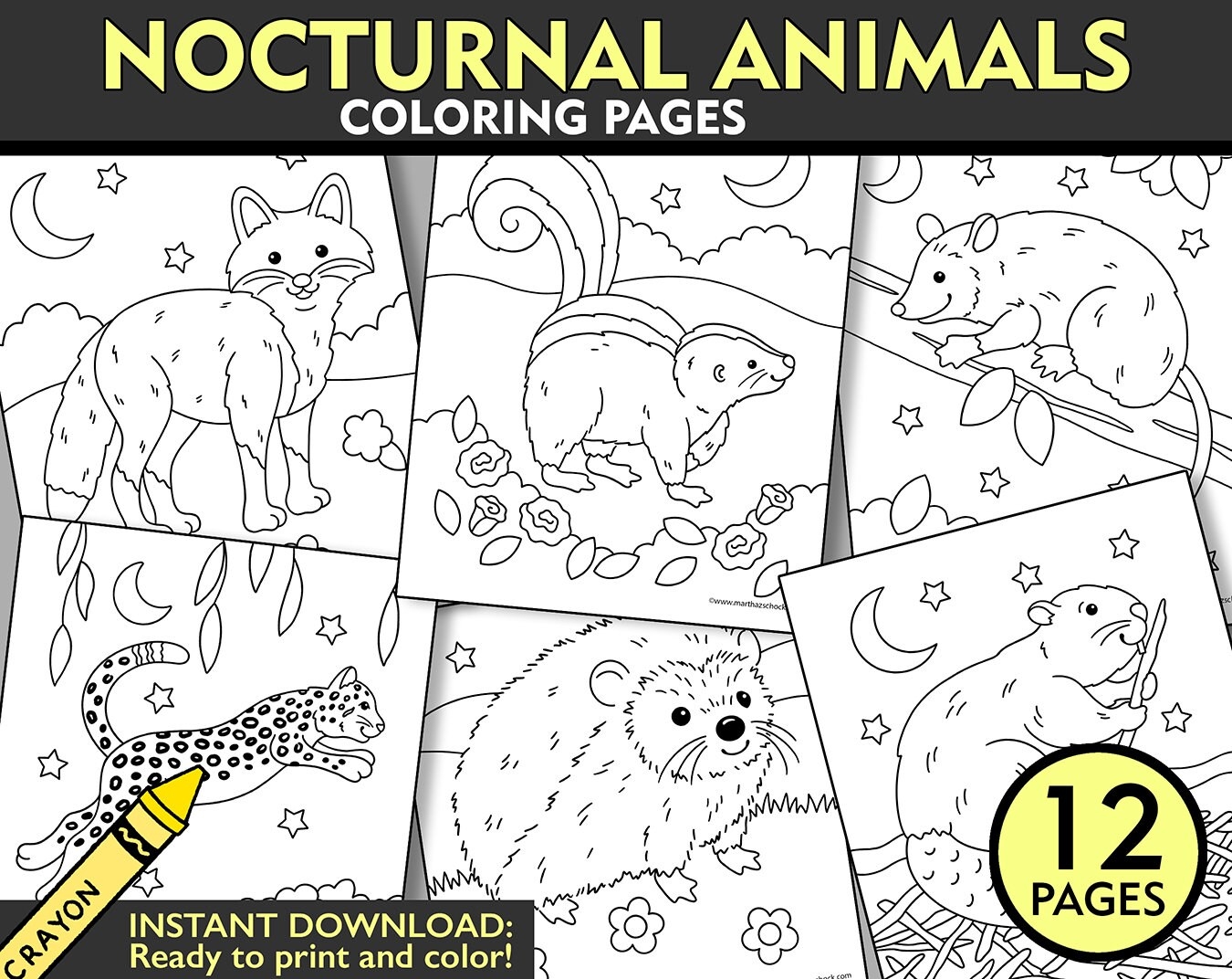 Nocturnal Animals Coloring Pages 12 Printable Sheets digital Download Etsy
