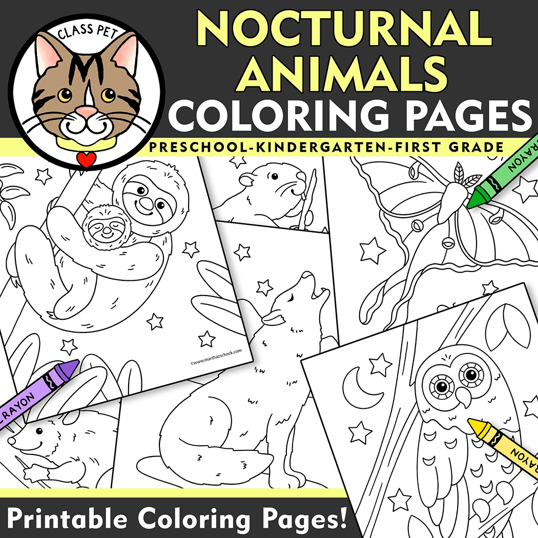 Nocturnal Animals Coloring Pages For Preschool Kindergarten First Grade Made By Teachers