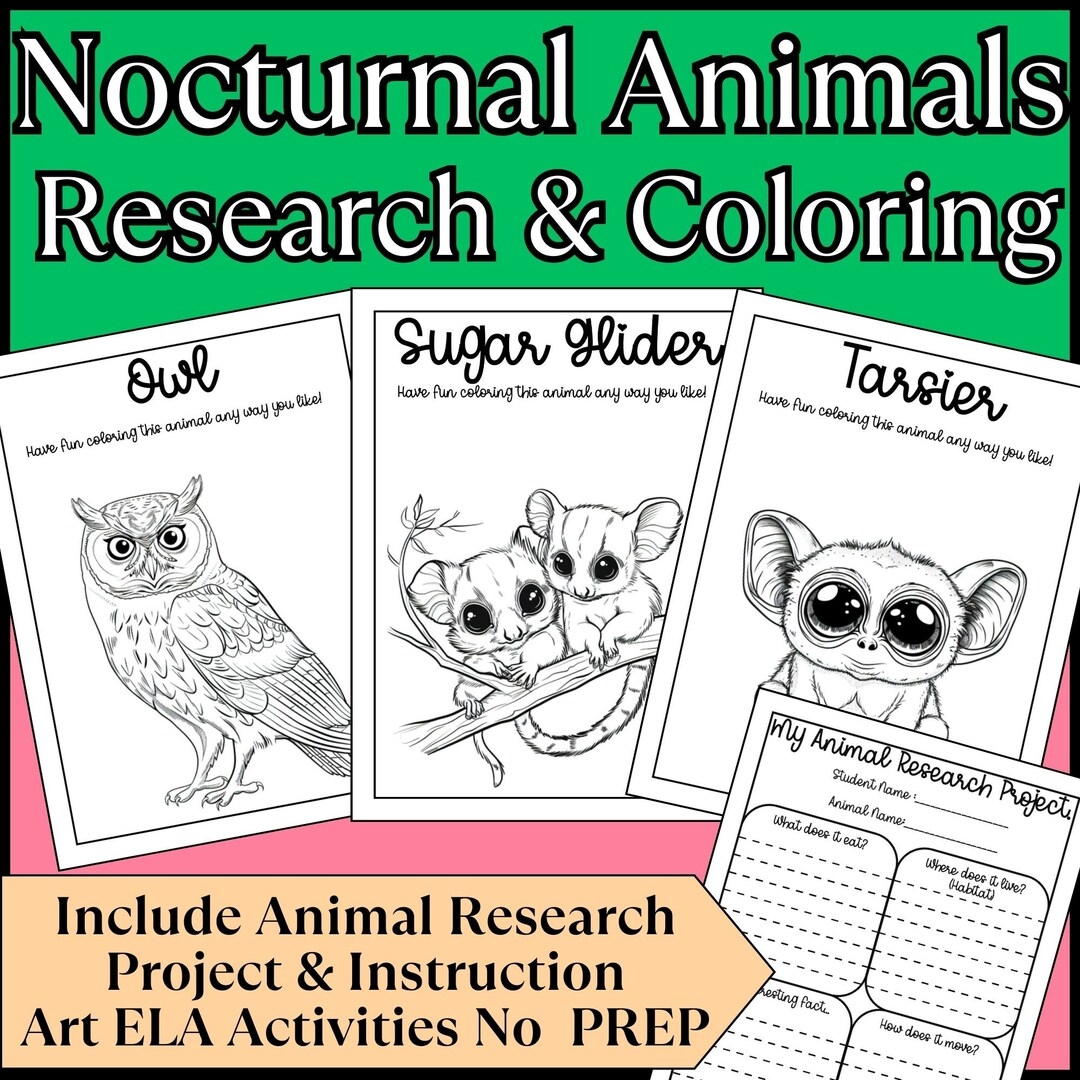Nocturnal Animals Research And Coloring Project For Kids Prek To 4th Grade Nocturnal Animal Coloring Pages Animal At Night Writing Etsy