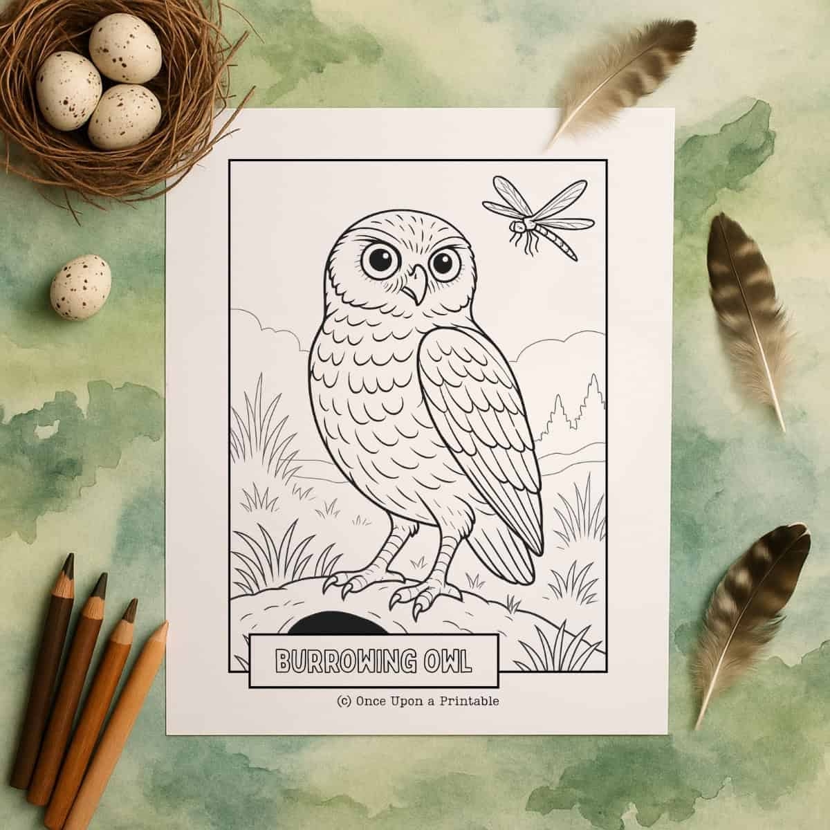 Owl Coloring Pages Free Printables Once Upon A Printable