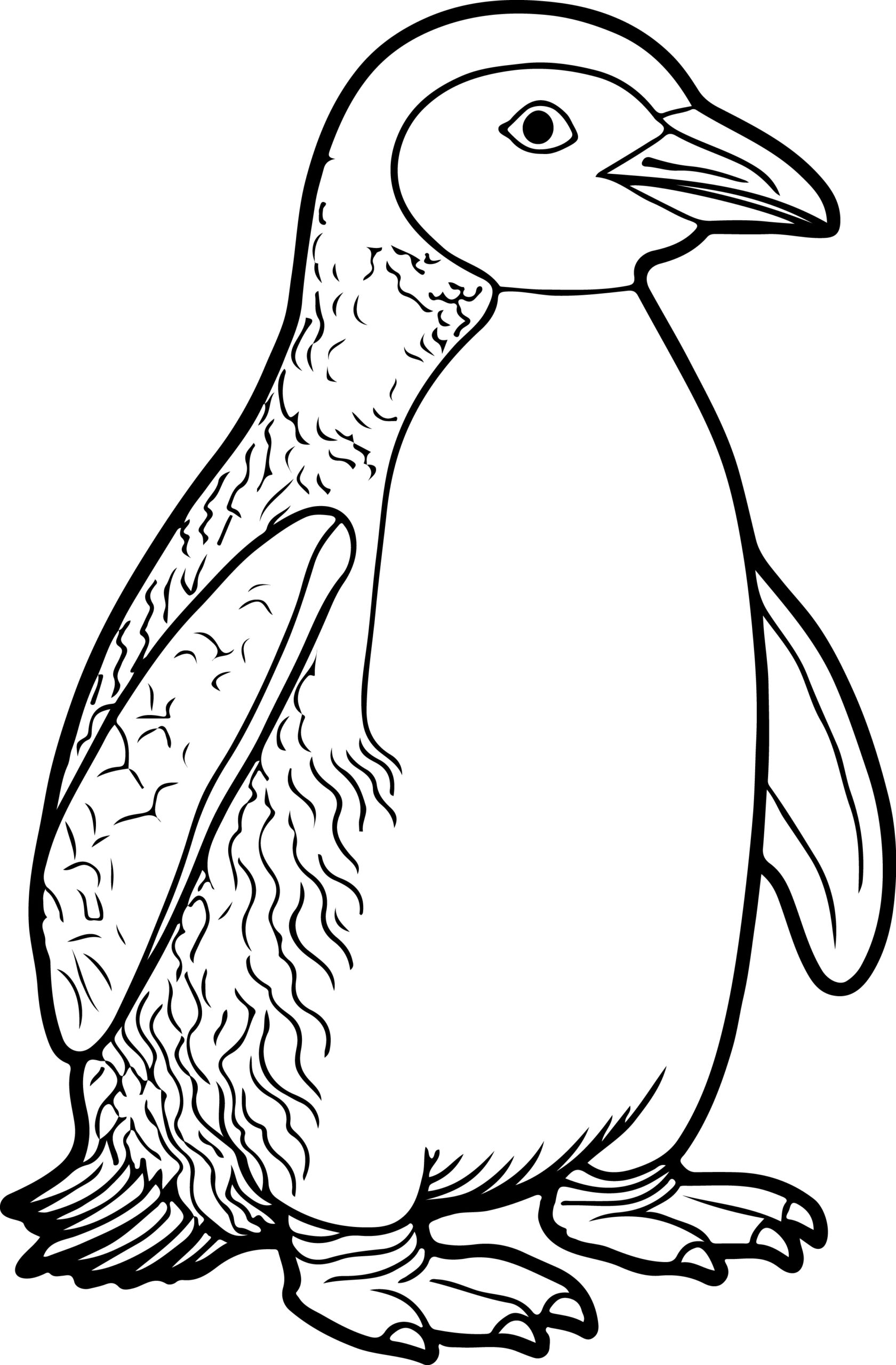coloring page of penguins for preschool