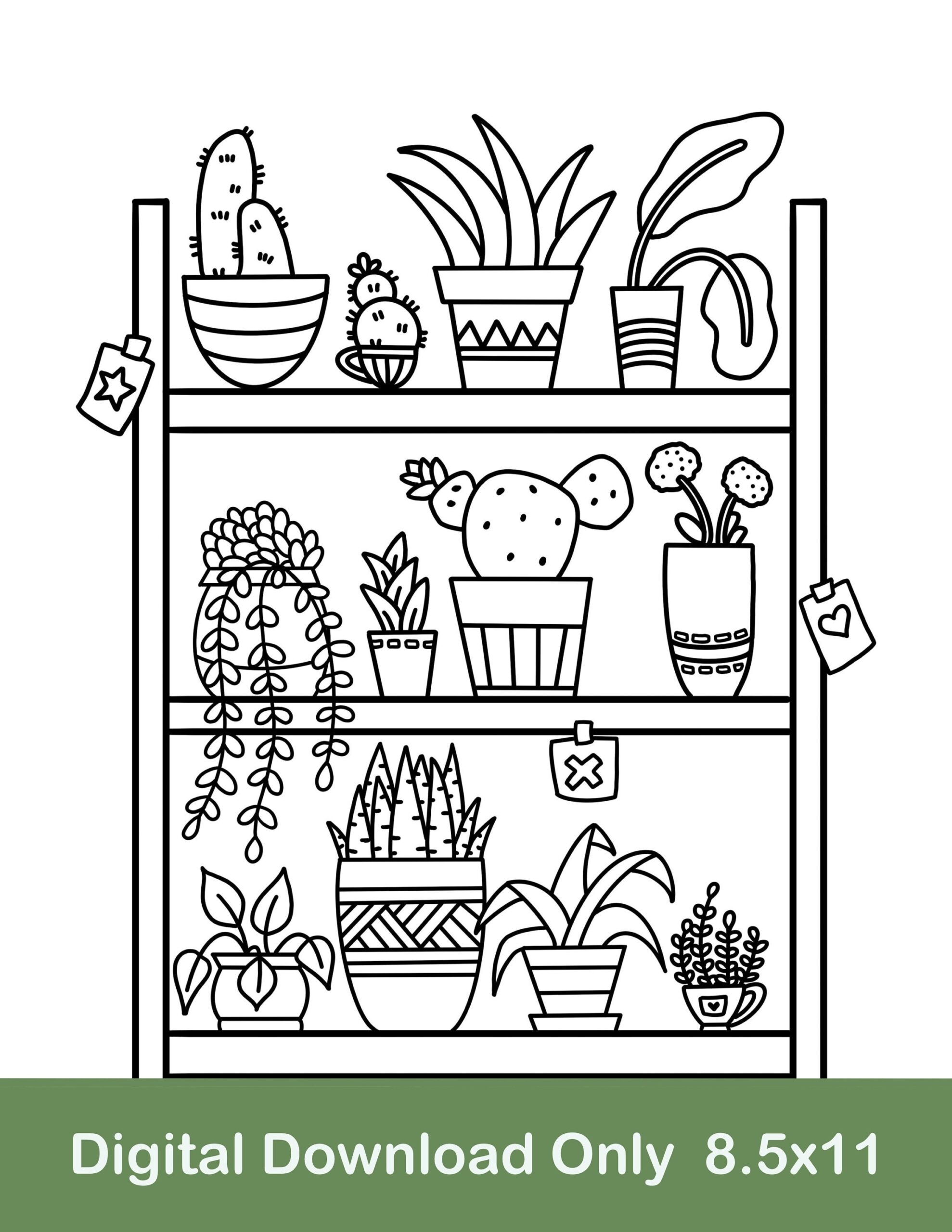 Plant Shelf Coloring Page Cactus Potted Plants digital Download Etsy