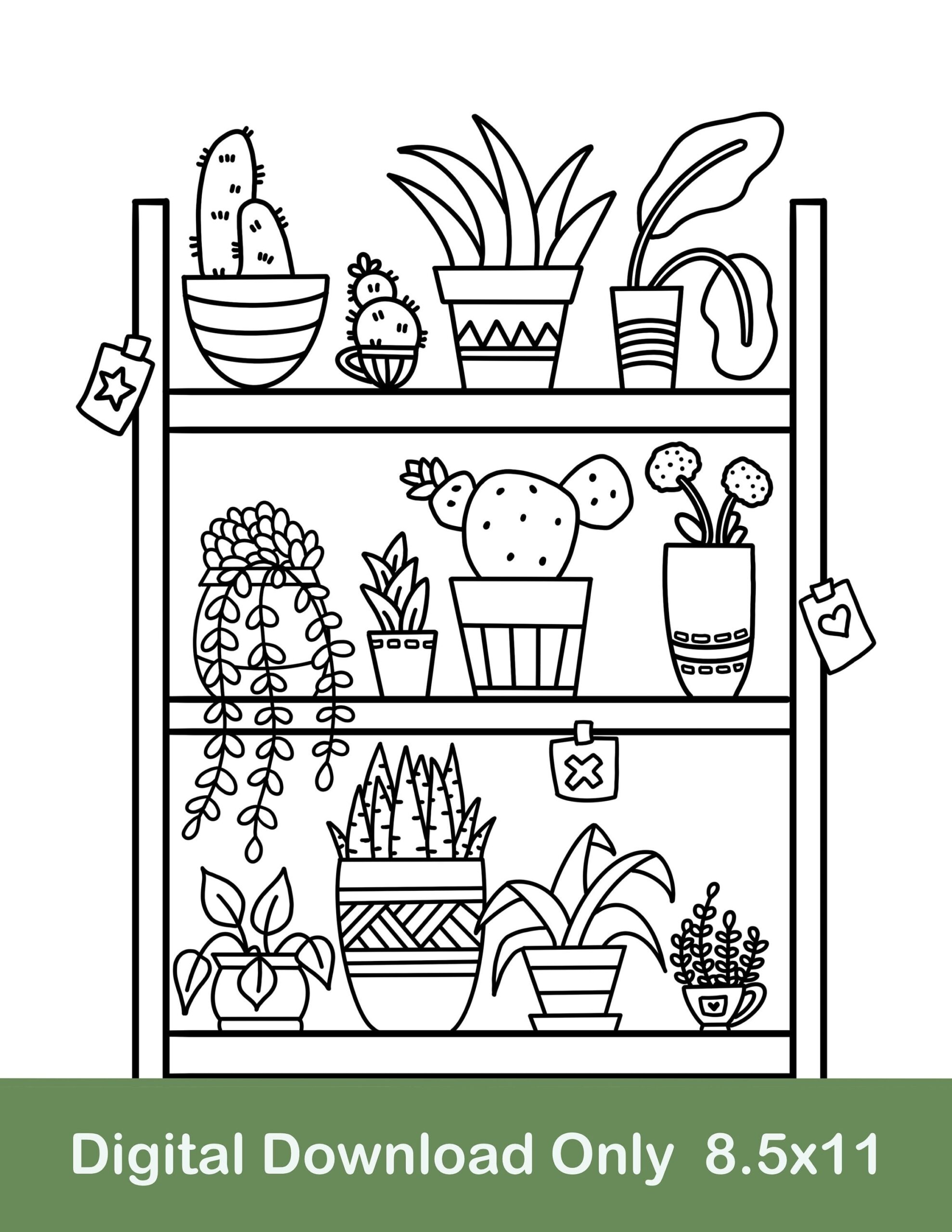 Plant Shelf Coloring Page Cactus Potted Plants digital Download Etsy