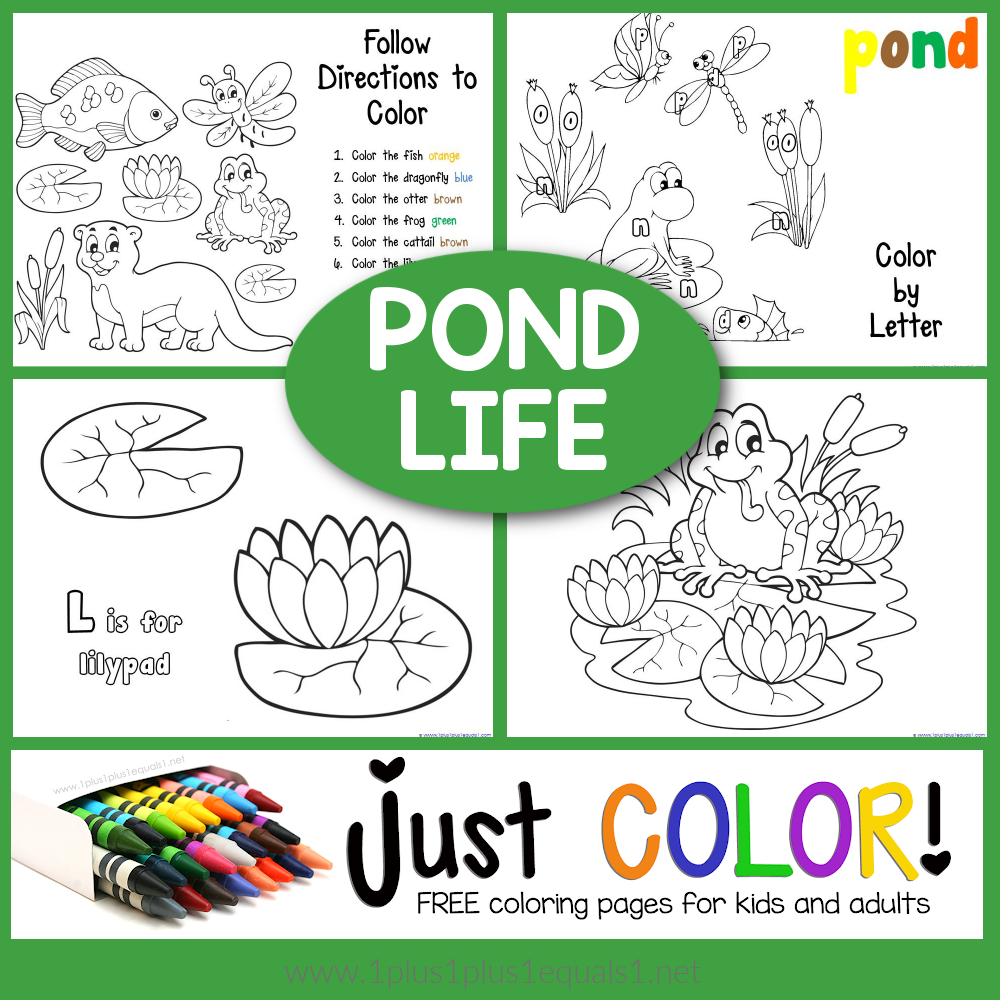 pond animals coloring pages