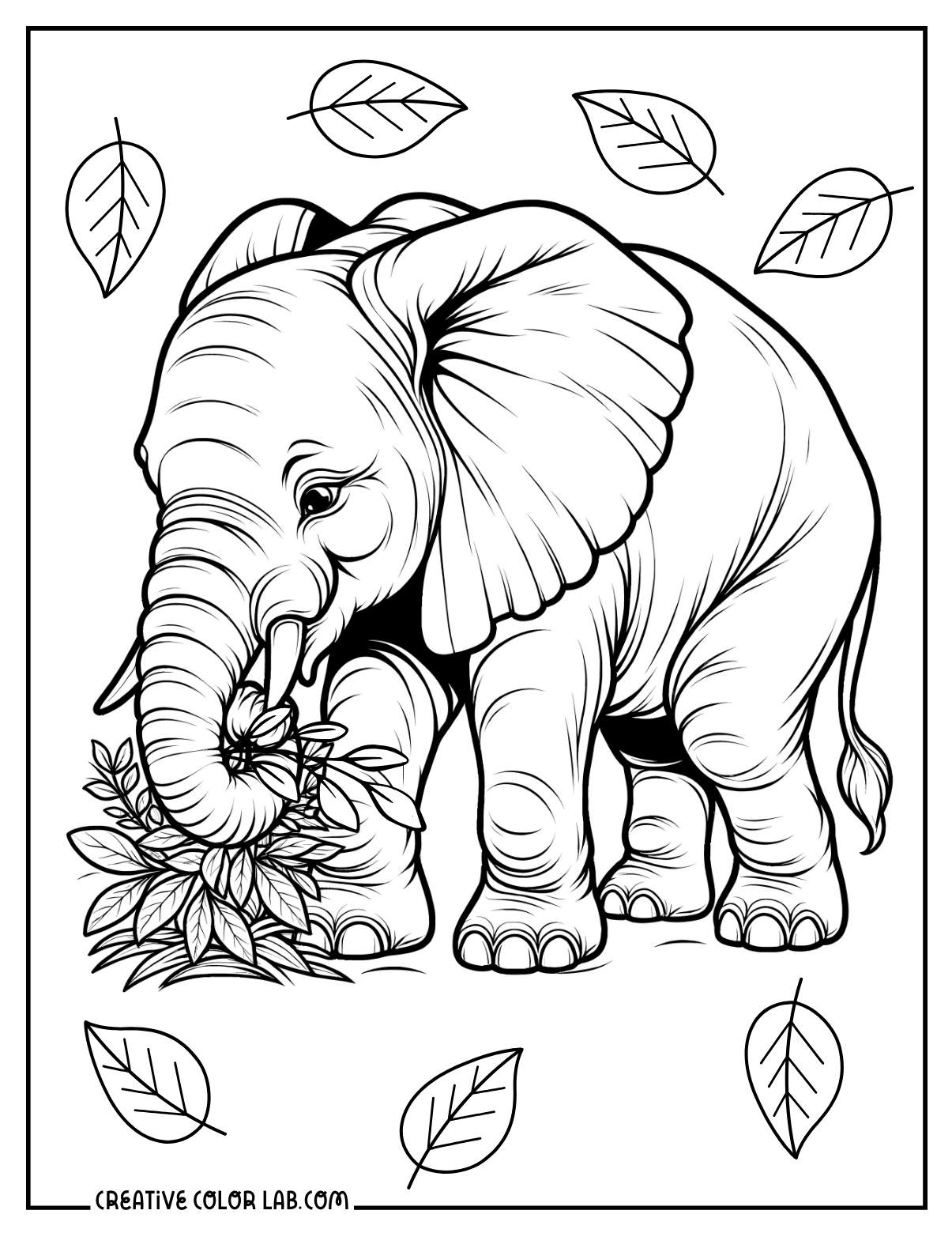 Printable Elephant Coloring Pages Free PDFs To Download