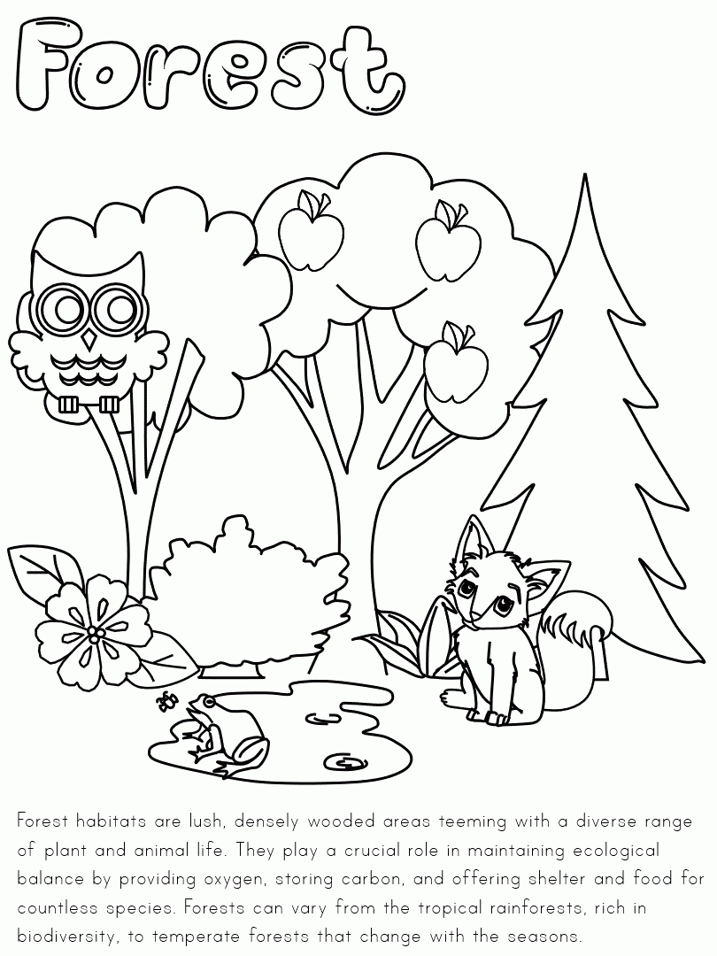 Printable Habitats Coloring Pages