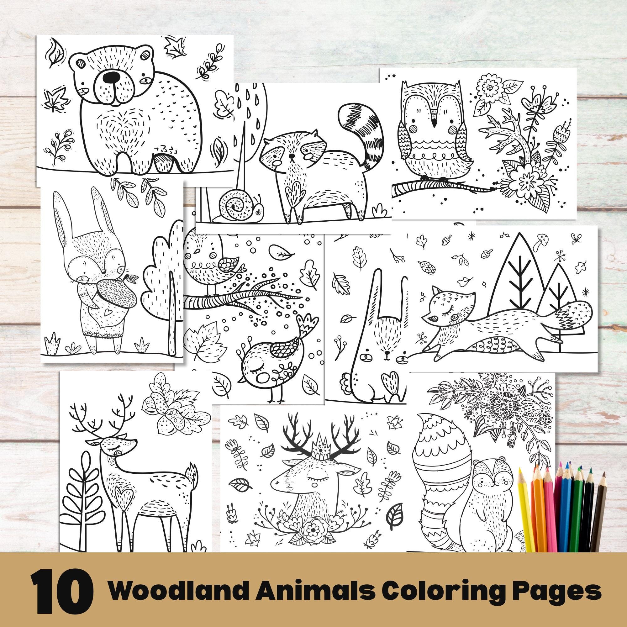 Printable Woodland Coloring Pages For Kids Kids Animal Activity Woodland Animals Kids Coloring Sheets Woodland Creatures Kids Party Games Etsy