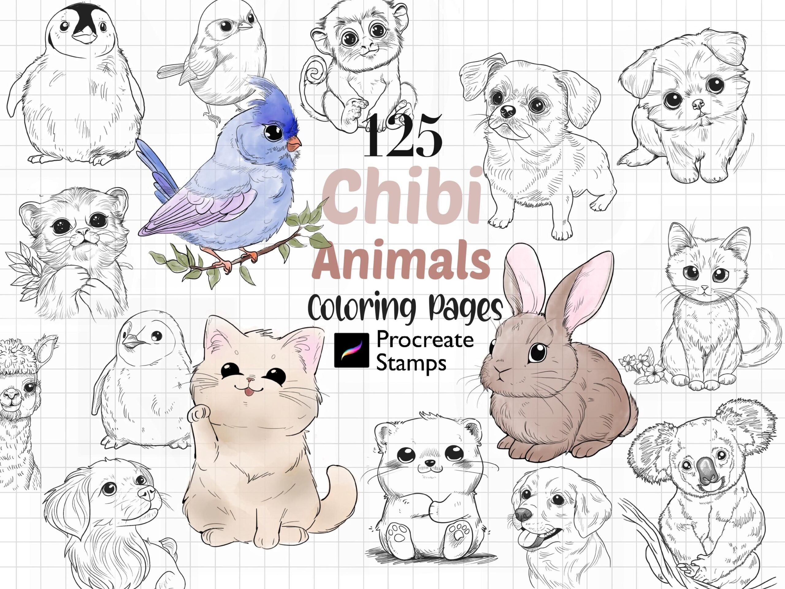 Procreate Chibi Animal Stamps Coloring Pages 125 Brushes Etsy