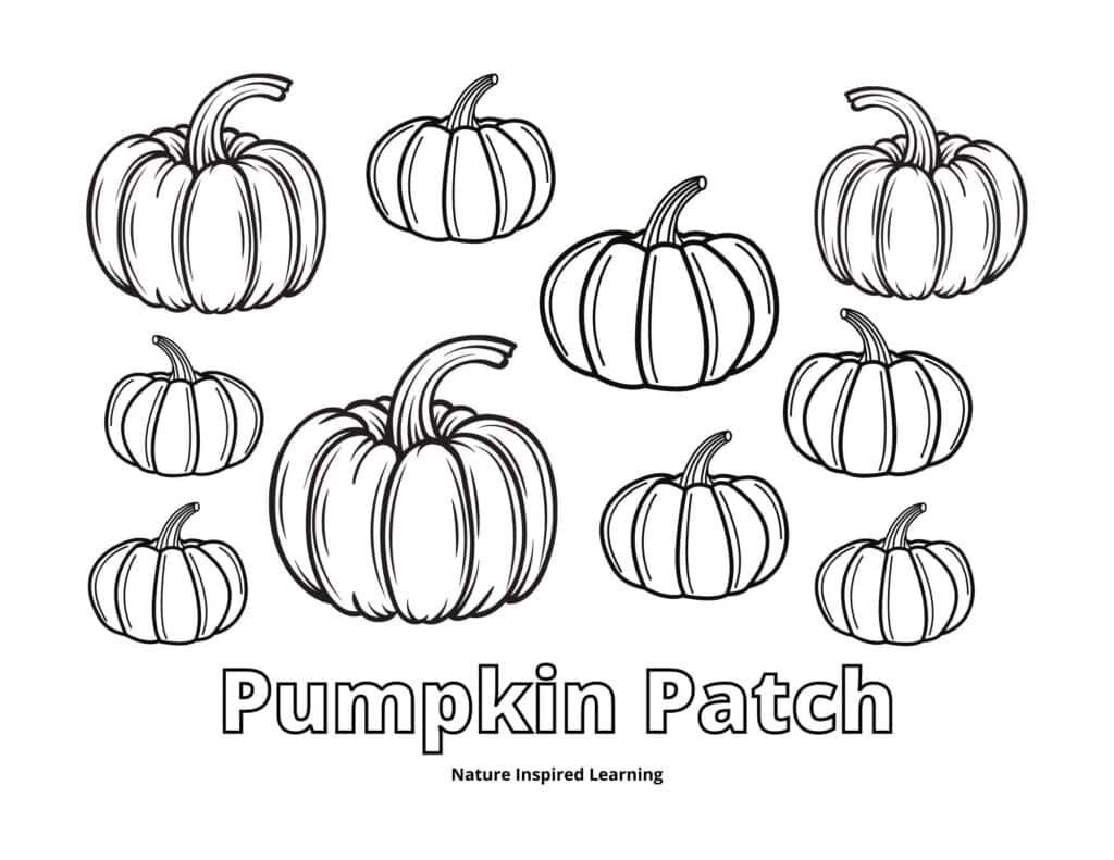 Pumpkin Coloring Pages Nature Inspired Learning