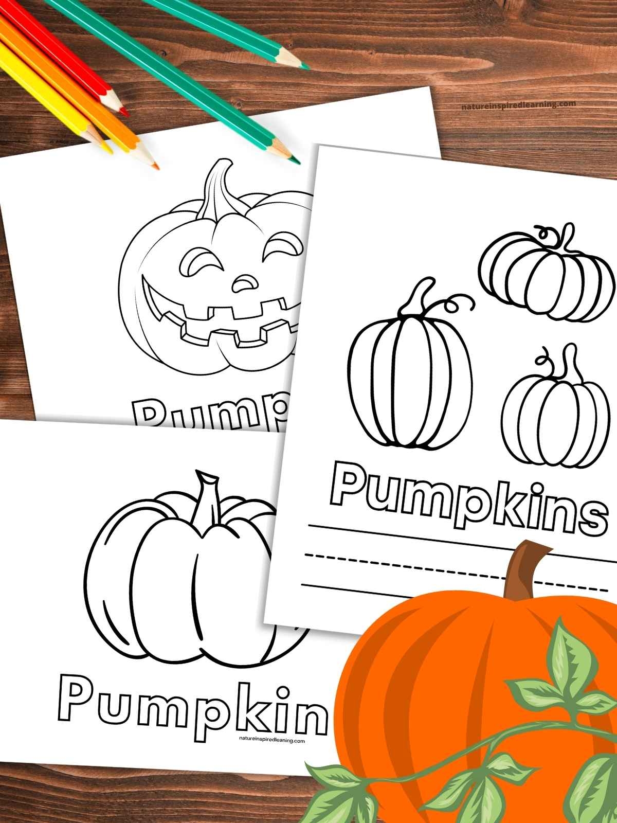 Pumpkin Coloring Pages Nature Inspired Learning