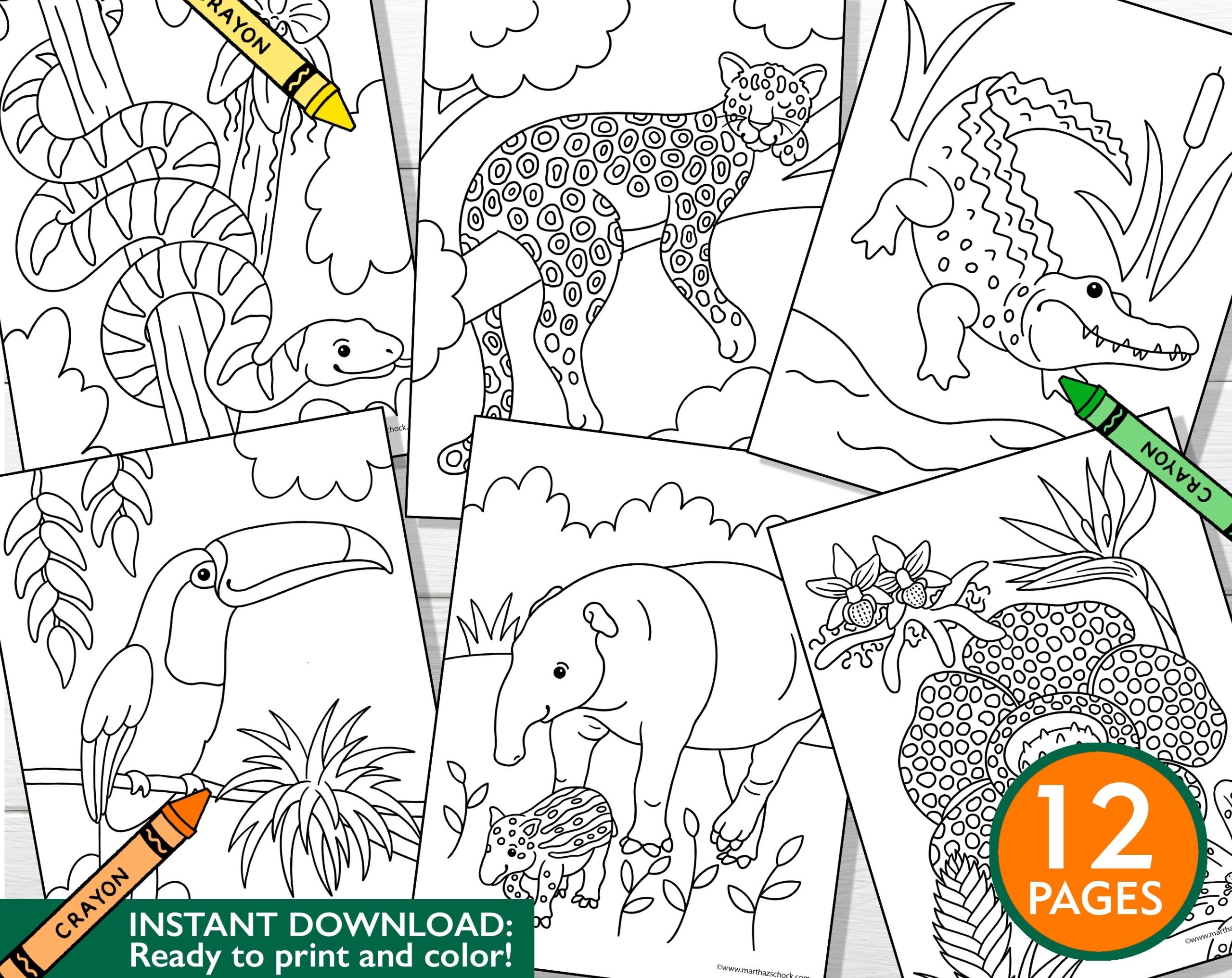 Rainforest Animals Coloring Pages Kids Printable Activity PDF Etsy