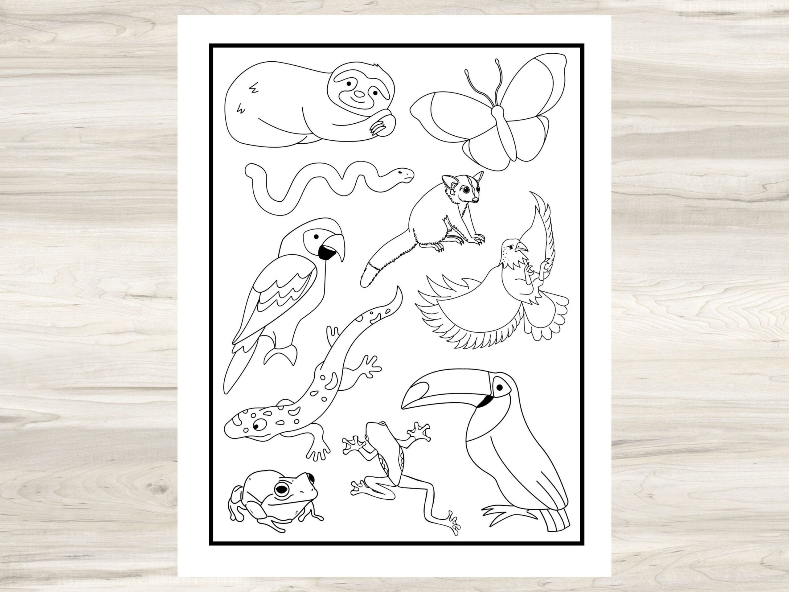 Rainforest Animals Printable Coloring Page For Kids 8 5 X 11 Coloring Activity Sheet Print At Home Activity For Classroom Or Homeschool Etsy