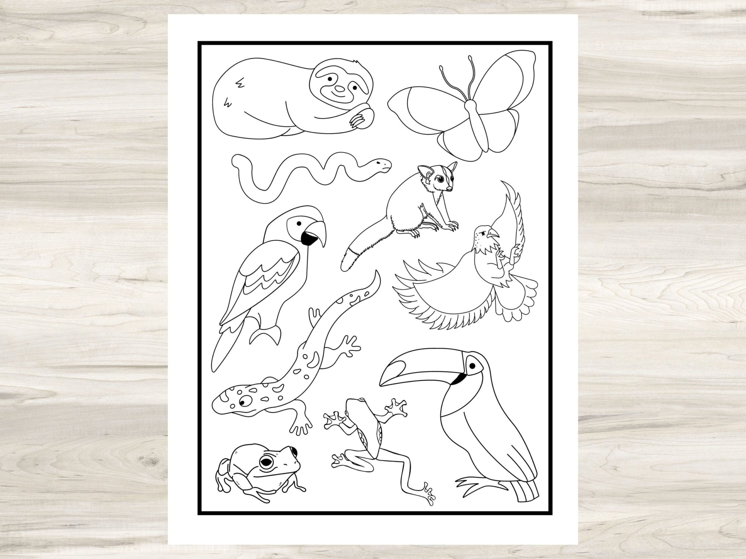 Rainforest Animals Printable Coloring Page For Kids 8 5 X 11 Coloring Activity Sheet Print At Home Activity For Classroom Or Homeschool Etsy