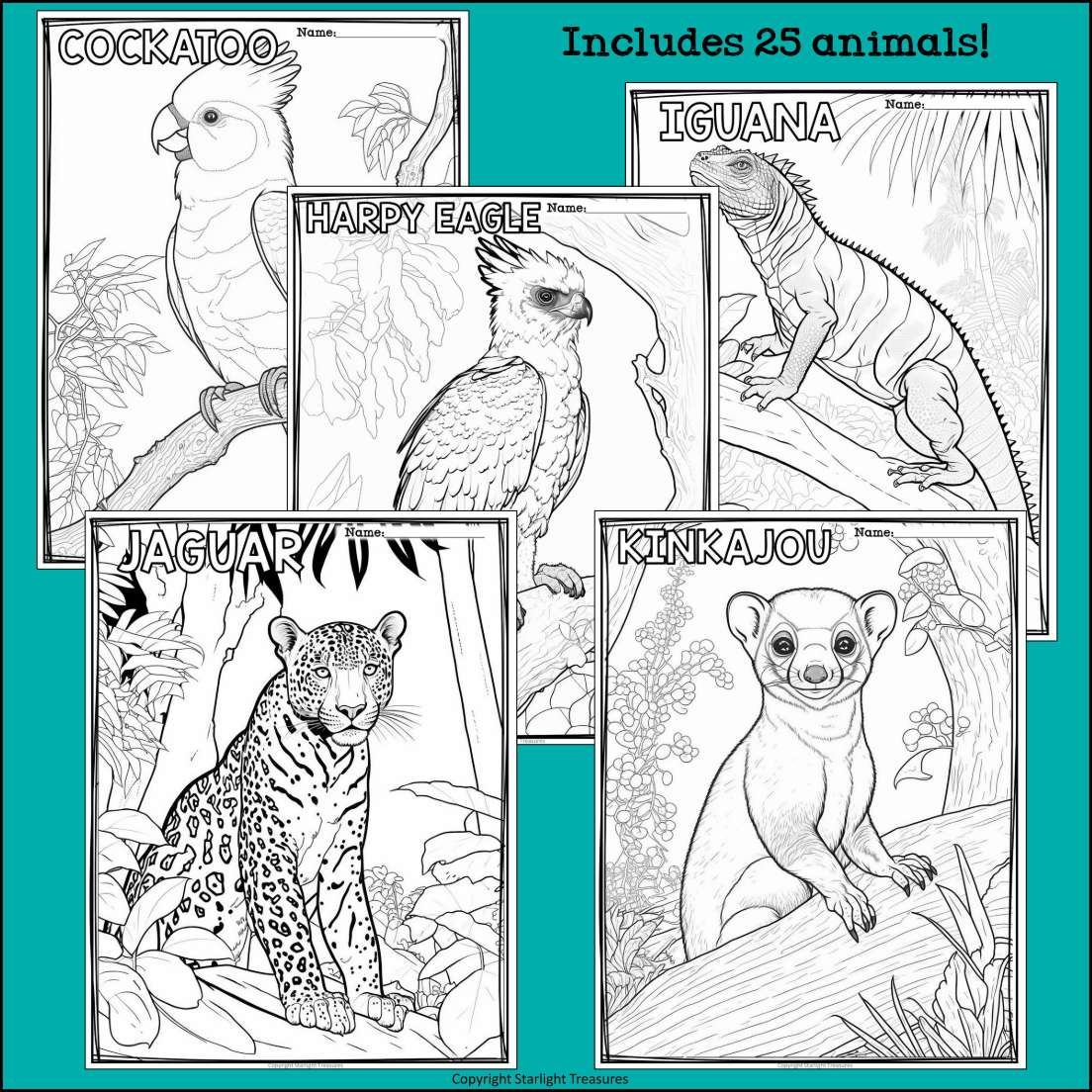 rainforest animals coloring page