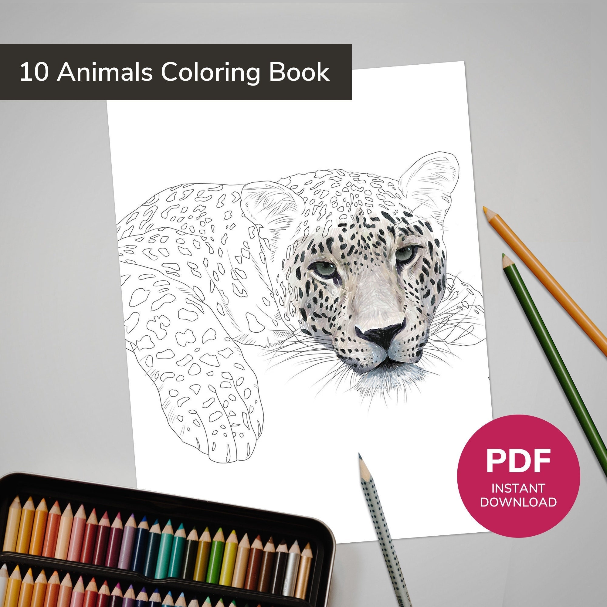 Realistic Animal Coloring Book Wildlife Illustrations PDF Pattern Etsy
