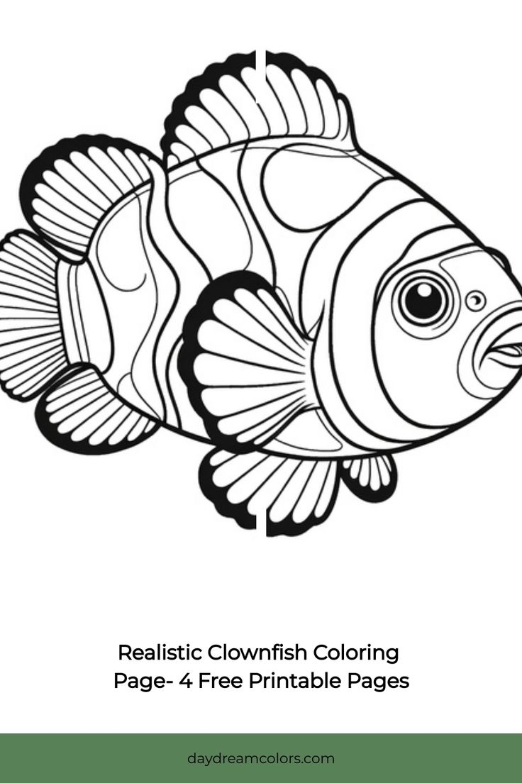 fish coloring page