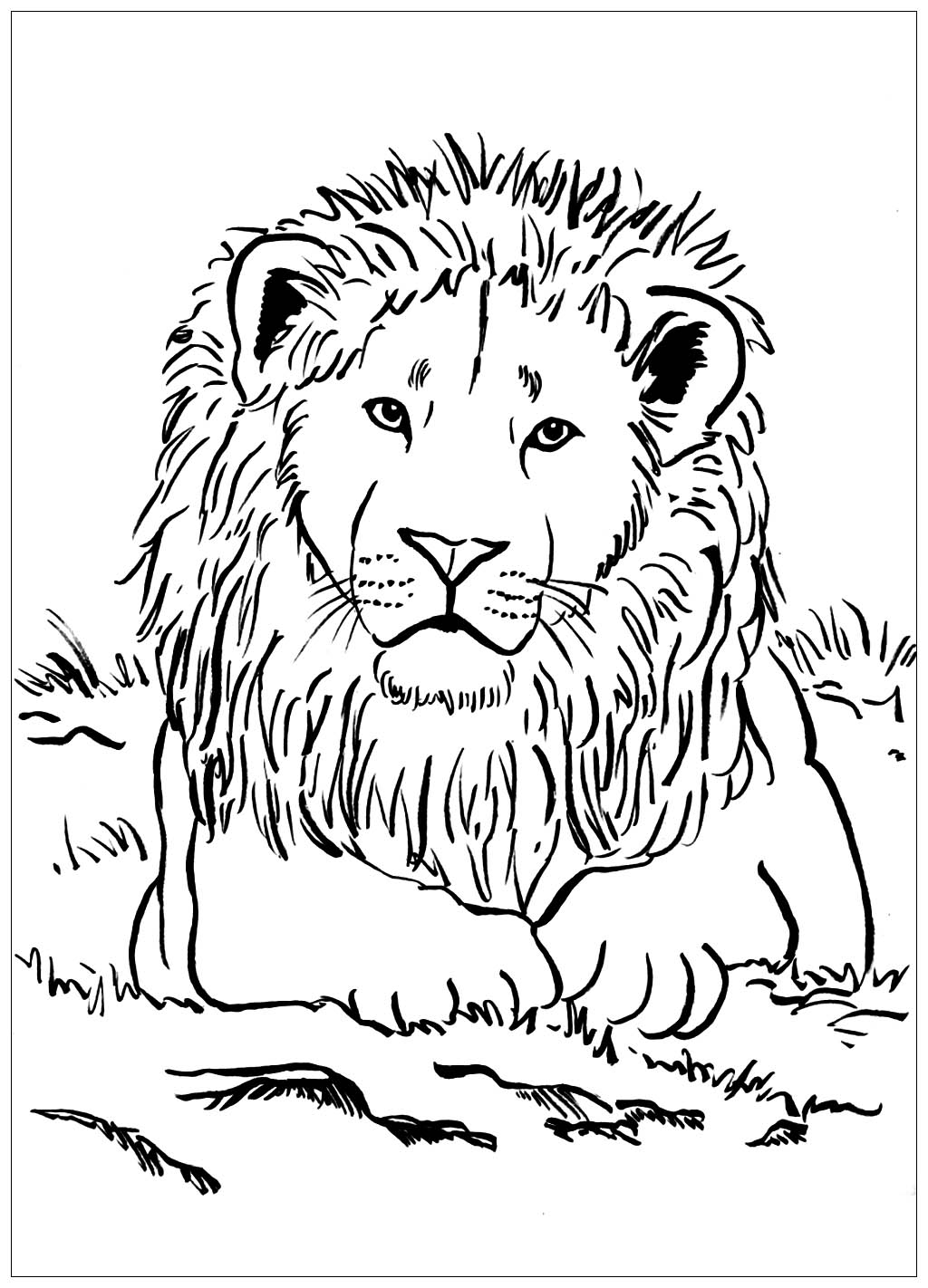 Reclining Lion Lion Coloring Pages
