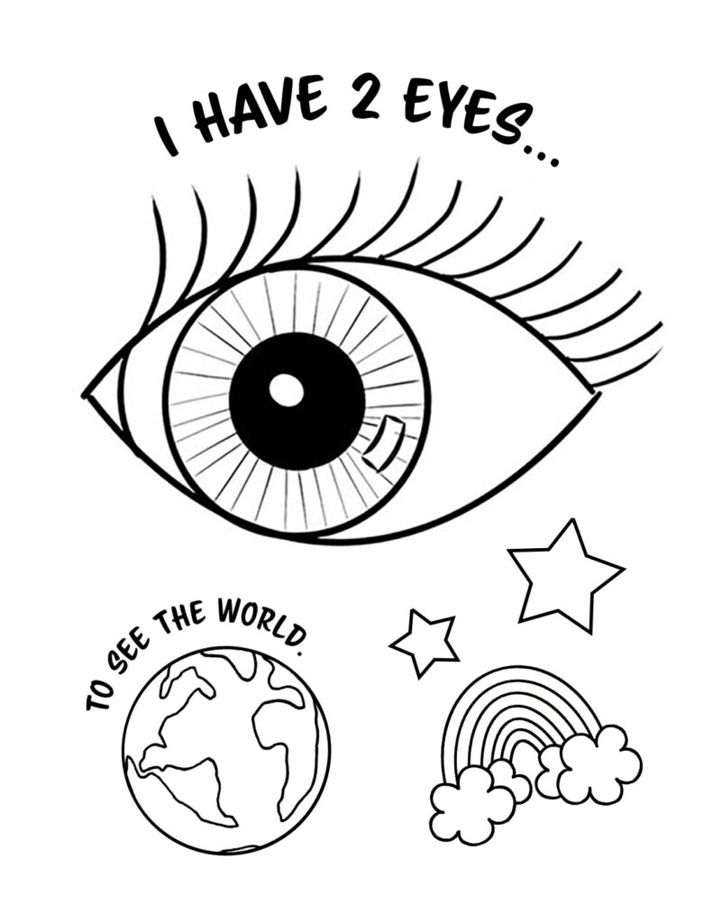 Sense Of Sight Worksheets For Preschool The Hollydog Blog