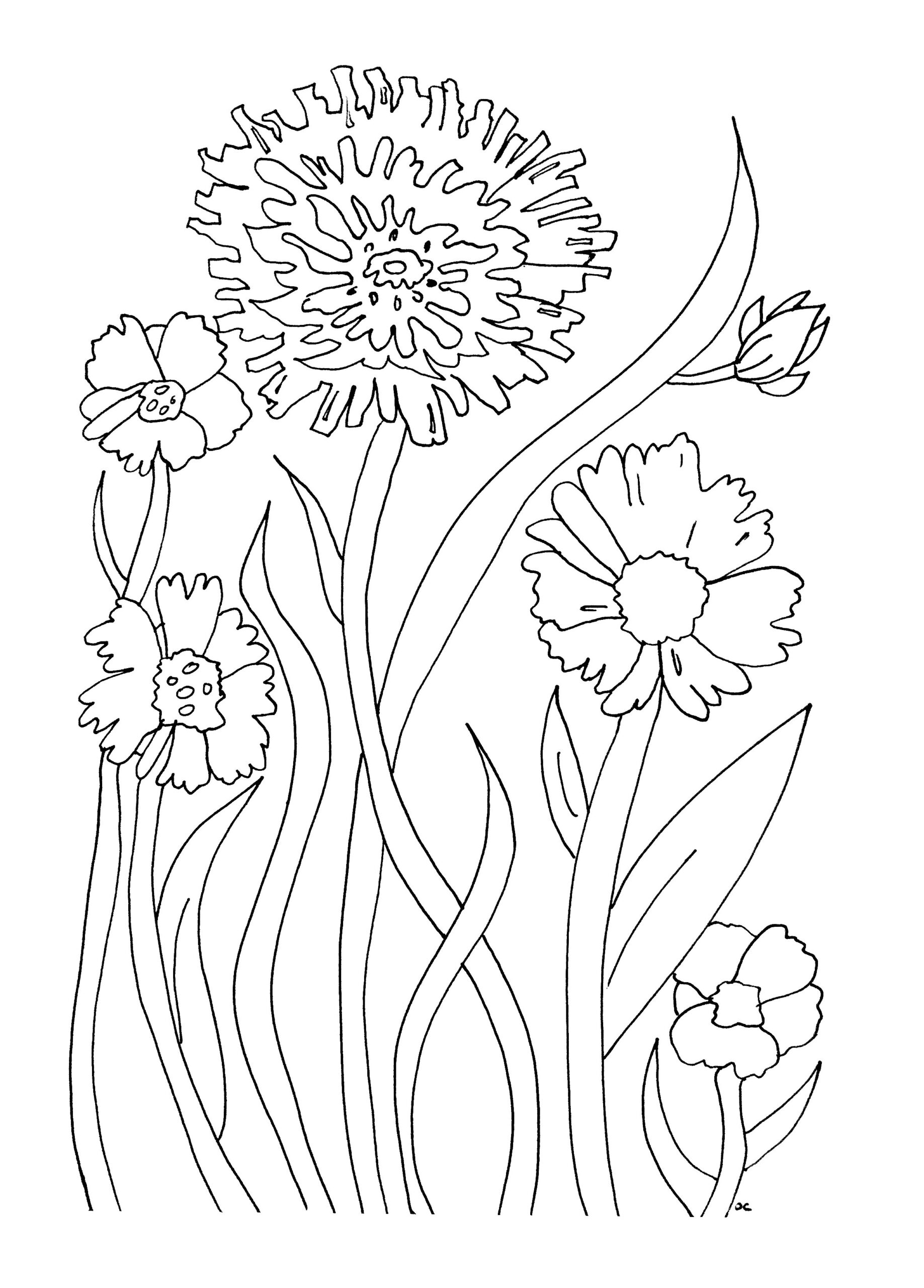 Simple Flowers Flowers Vegetation Coloring Pages For Adults