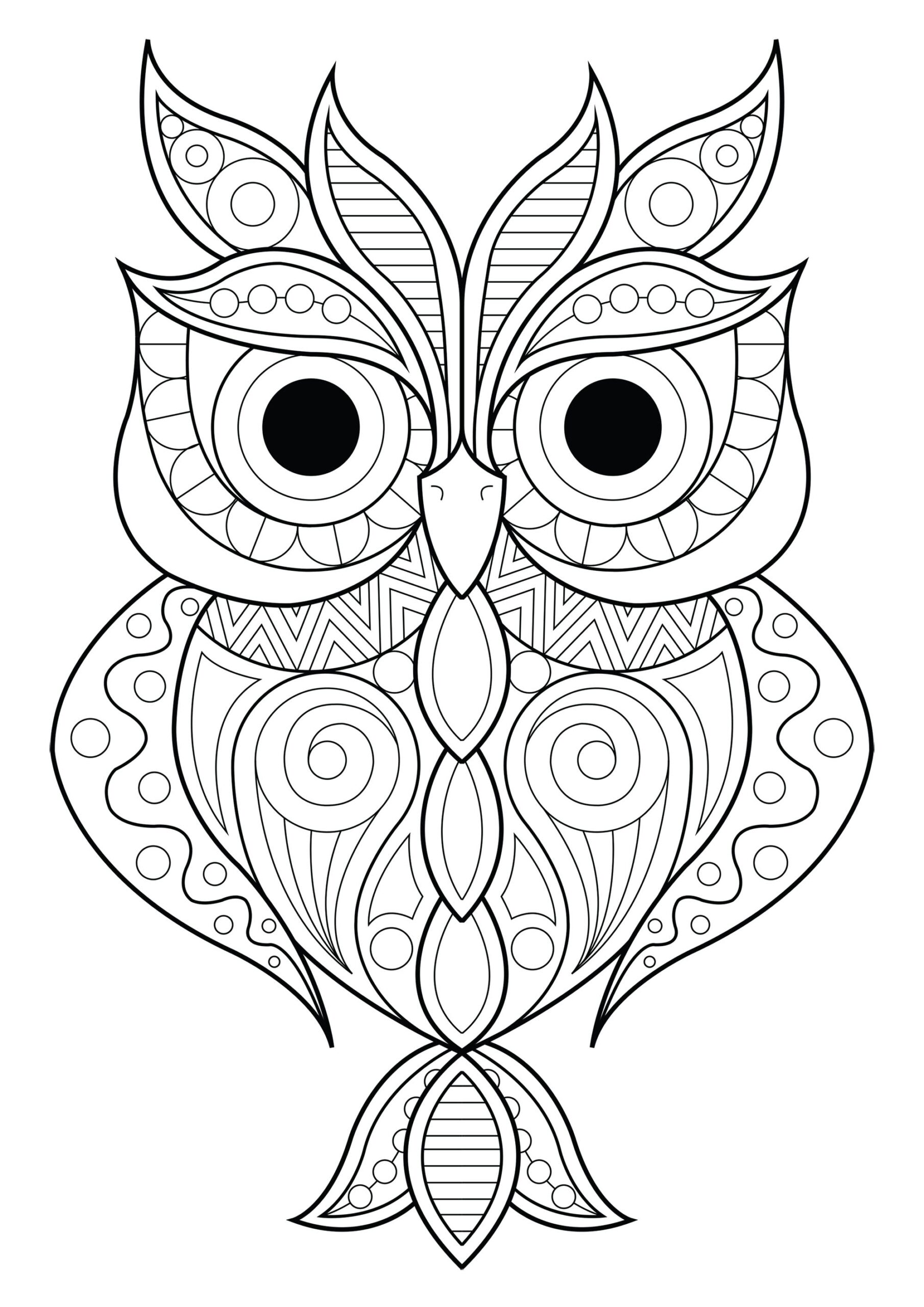 Simple Patterned Owl 2 Owl Coloring Pages For Adults