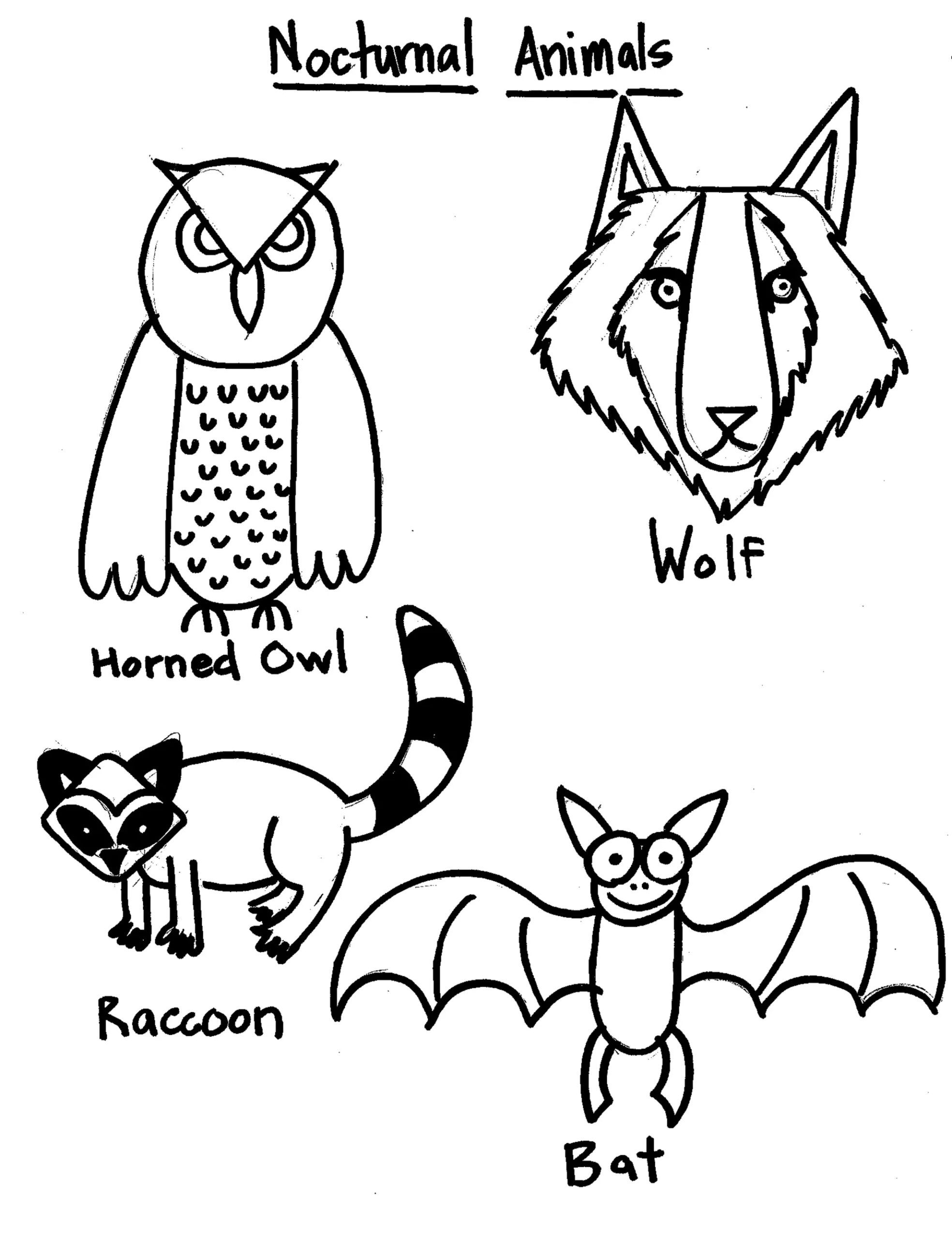 nocturnal animals coloring pages