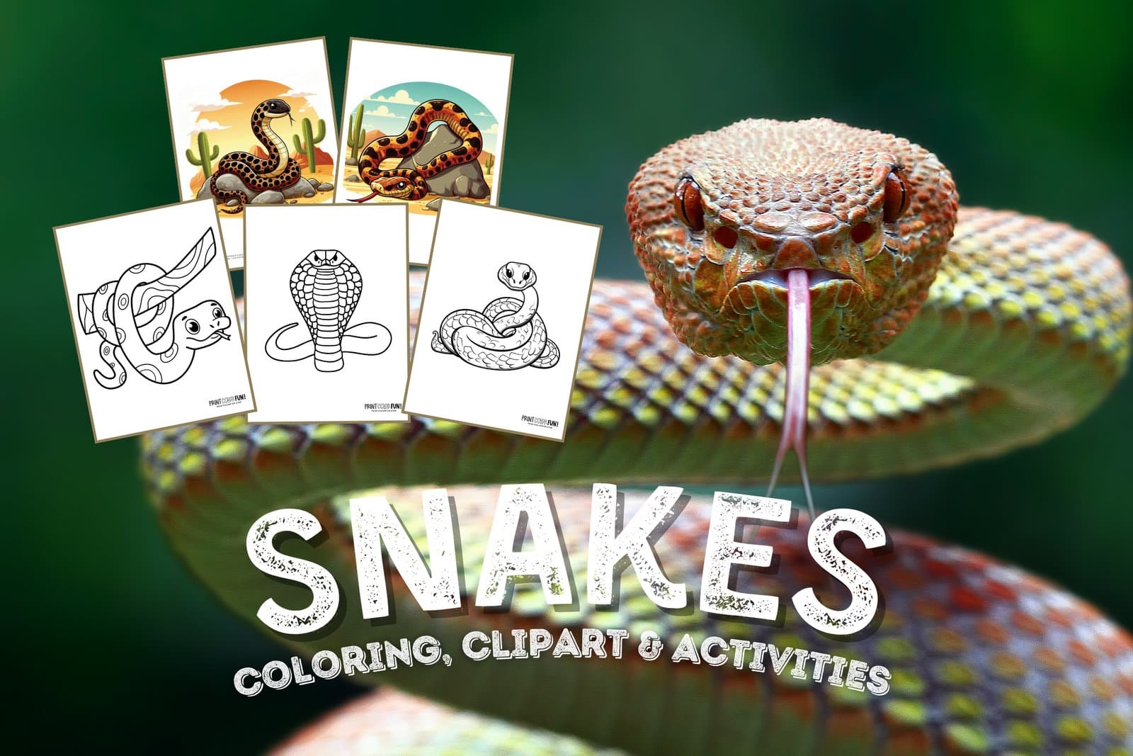 snake coloring pages