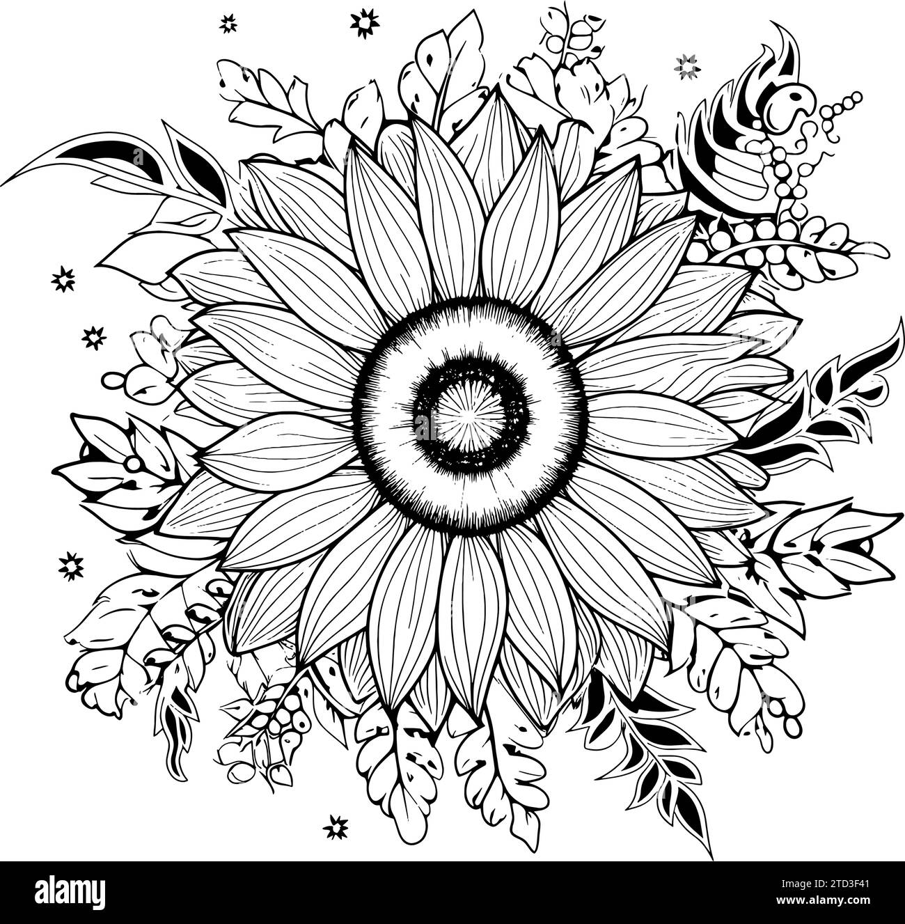 Sunflower Coloring Book Outline Vector Illustration Of Sunflowers And Flowers Stock Vector Image Art Alamy
