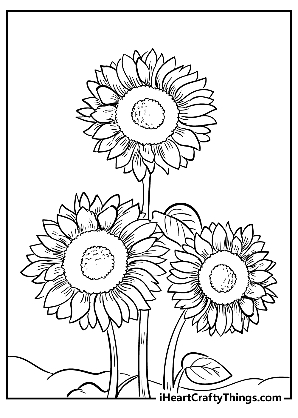 sunflower coloring page sunflower coloring page