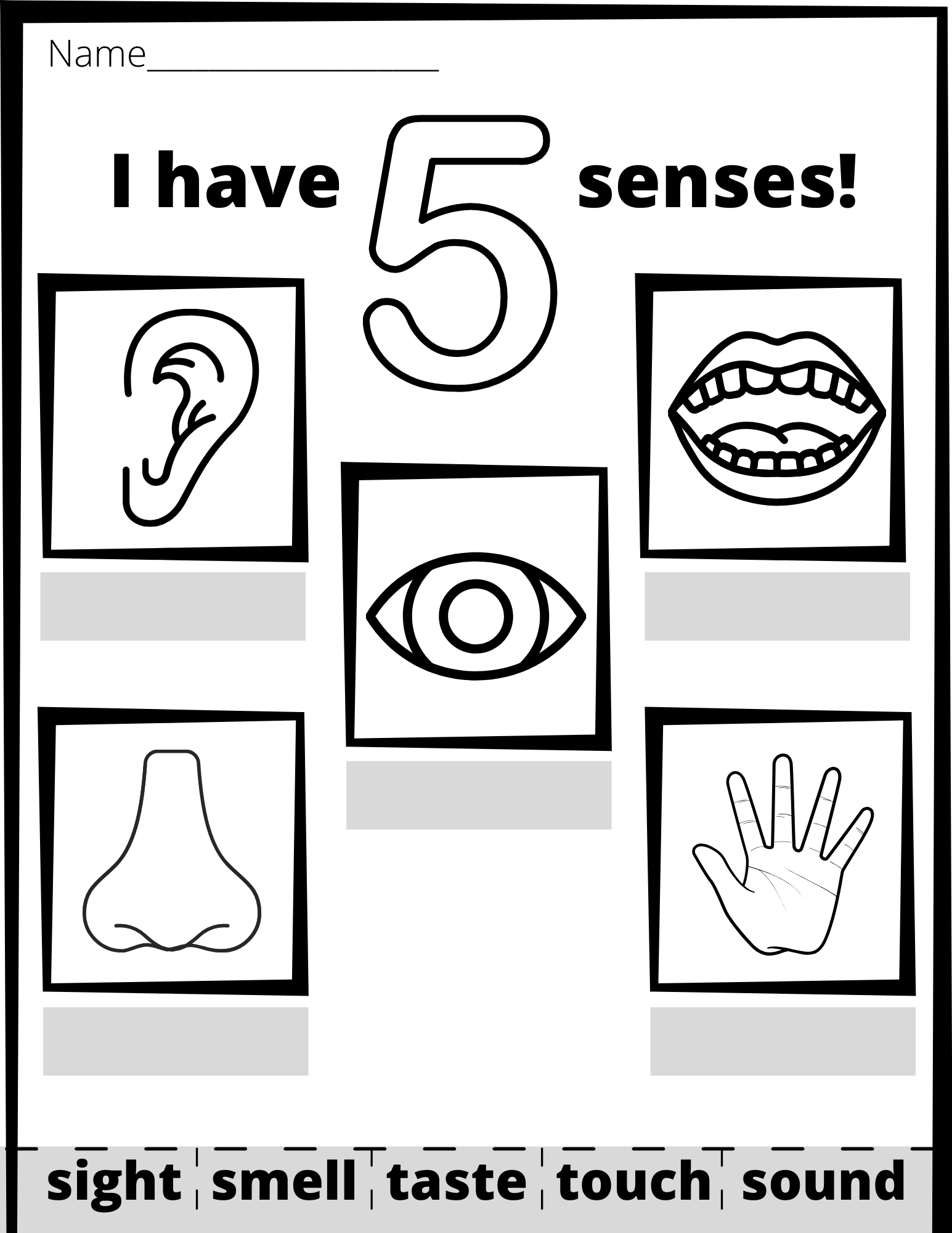 5 senses coloring page preschool