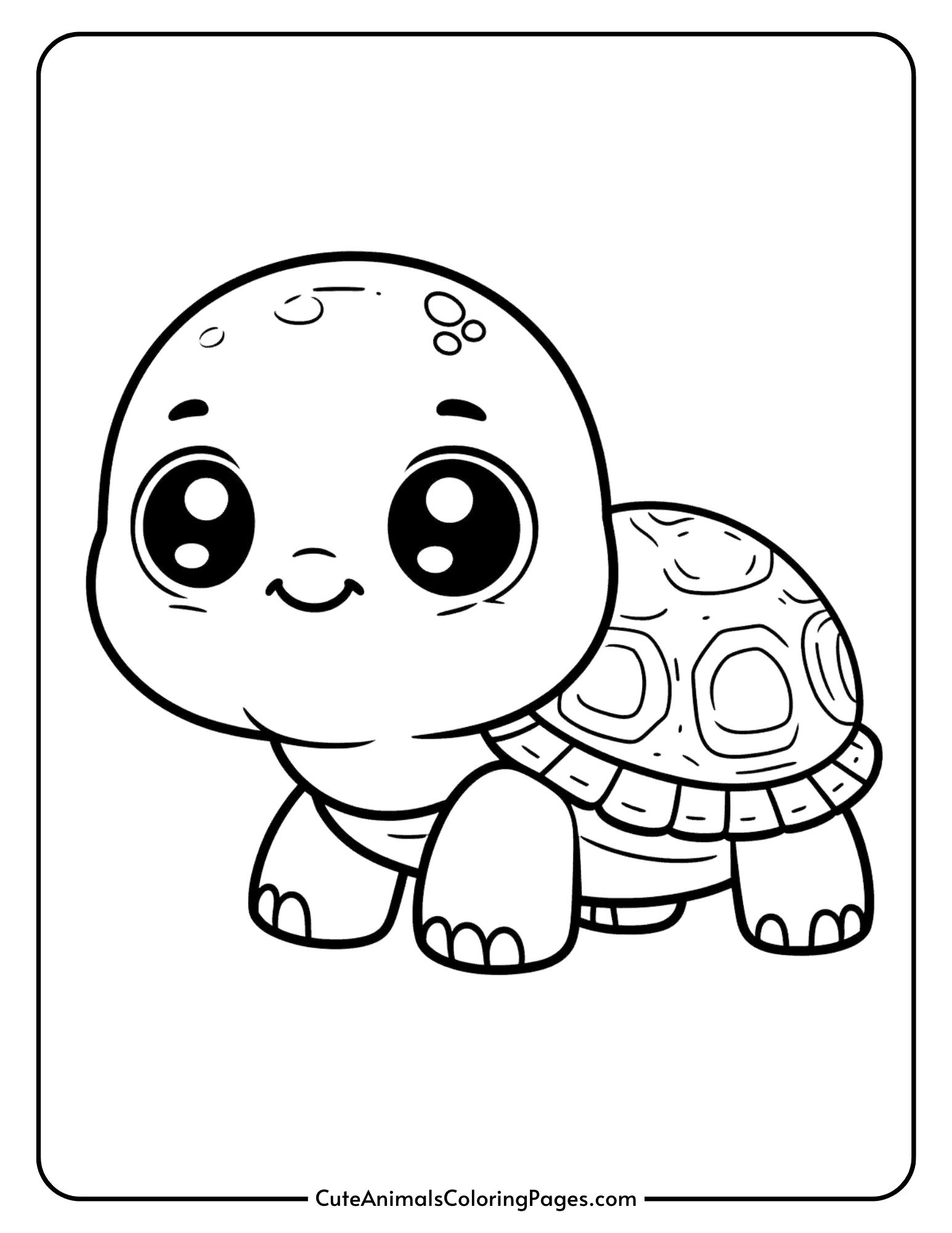 turtle coloring pages