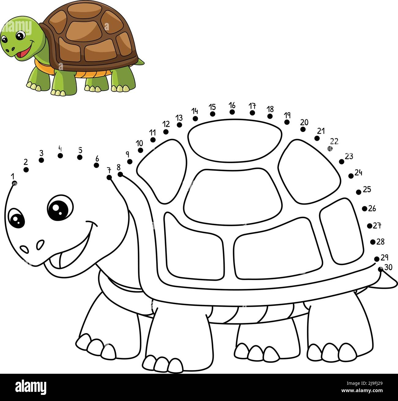 Turtle Coloring Page Cut Out Stock Images Pictures Alamy