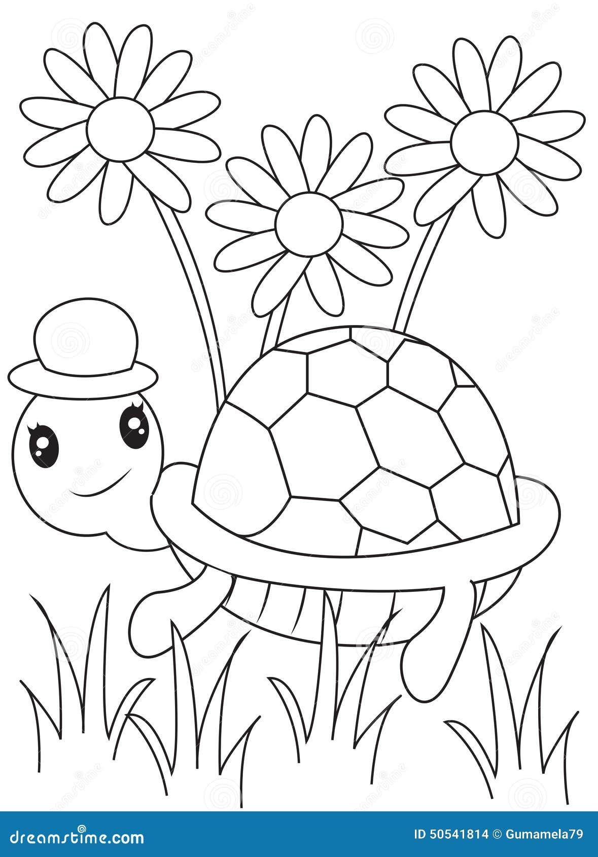 coloring pages of turtles for preschool