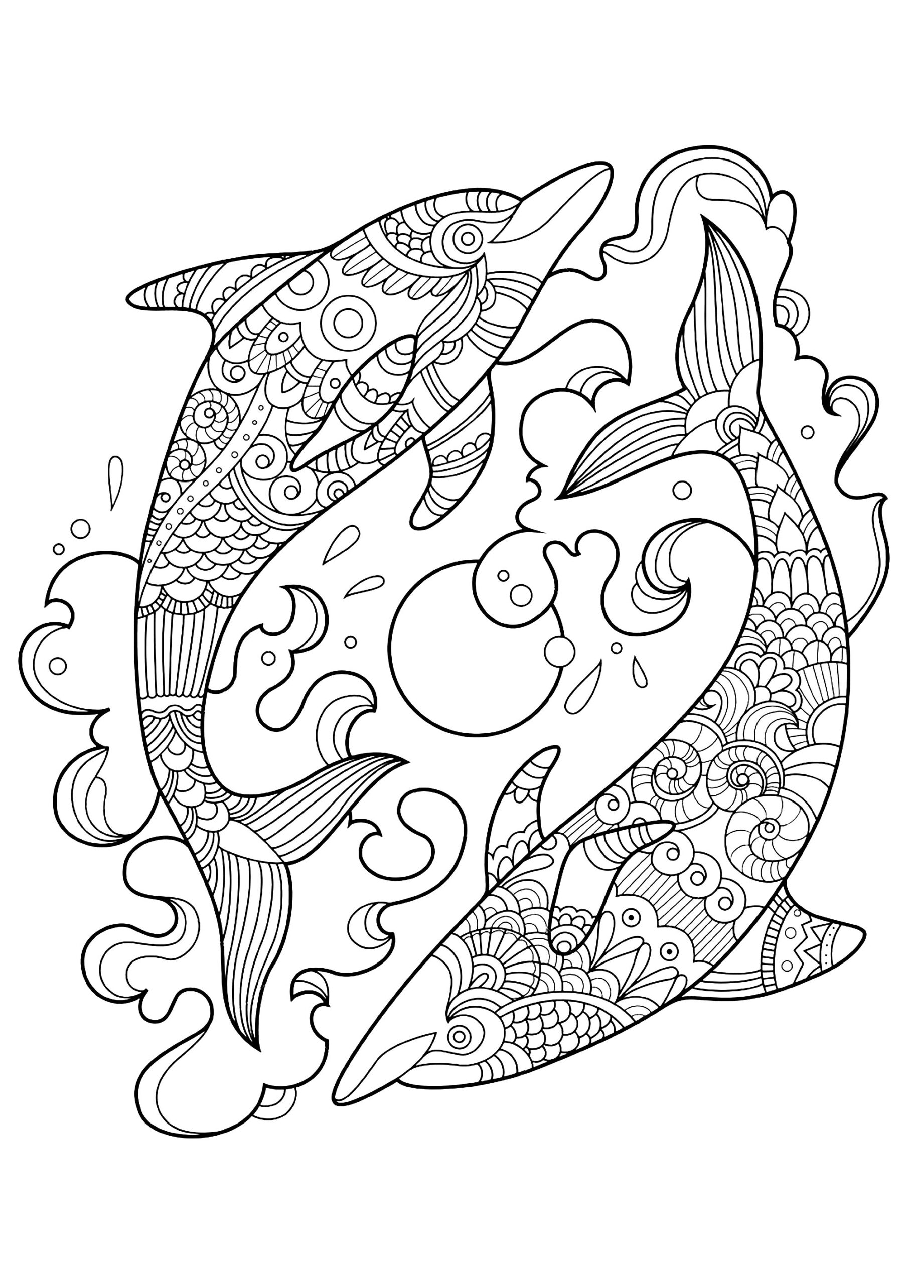 Two Dolphins In The Ocean Dolphin Coloring Pages For Adults