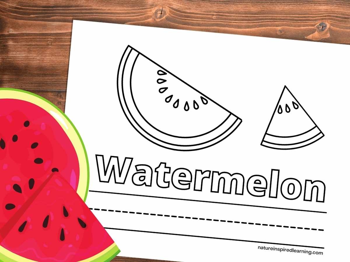 Watermelon Coloring Pages Nature Inspired Learning