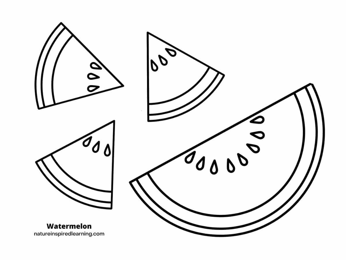 Watermelon Coloring Pages Nature Inspired Learning