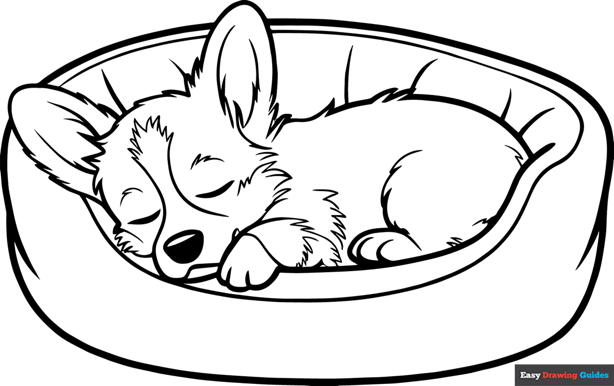 Welsh Corgi Puppy Sleeping Coloring Page Easy Drawing Guides