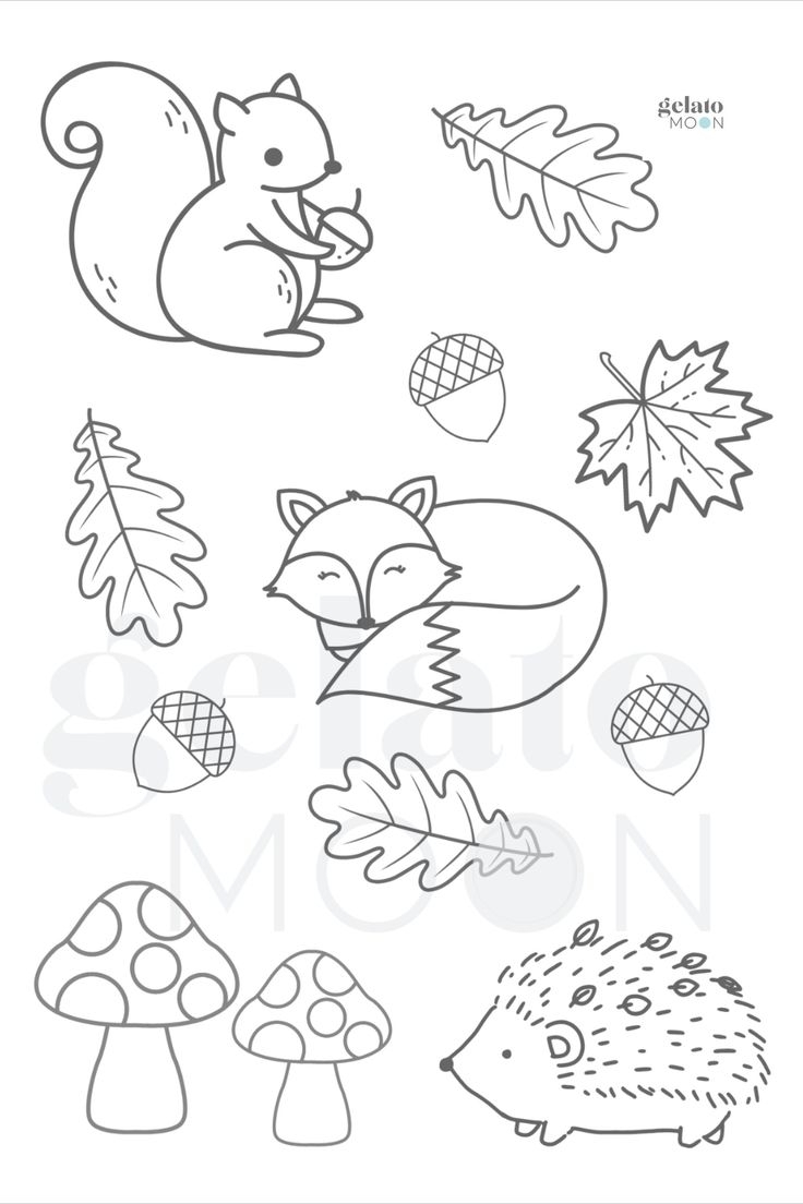 Woodland Animals Colouring Page