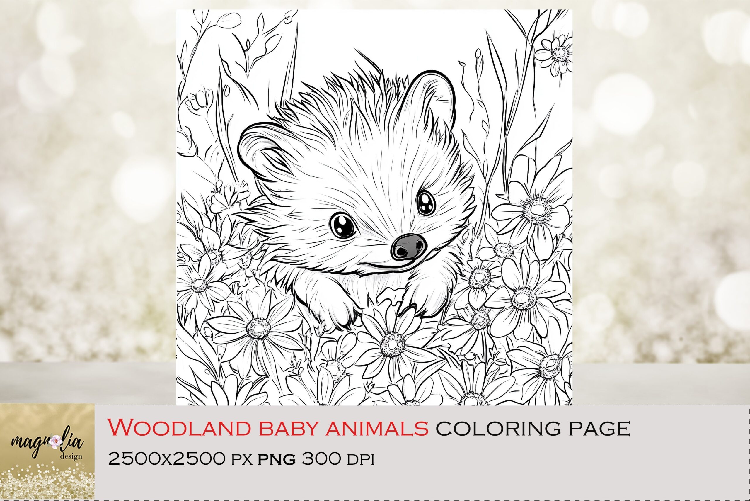 Woodland Baby Animal Hedgehog Coloring Page For Kids Png